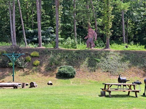 Blue Ridge Rustic Inn - image 40