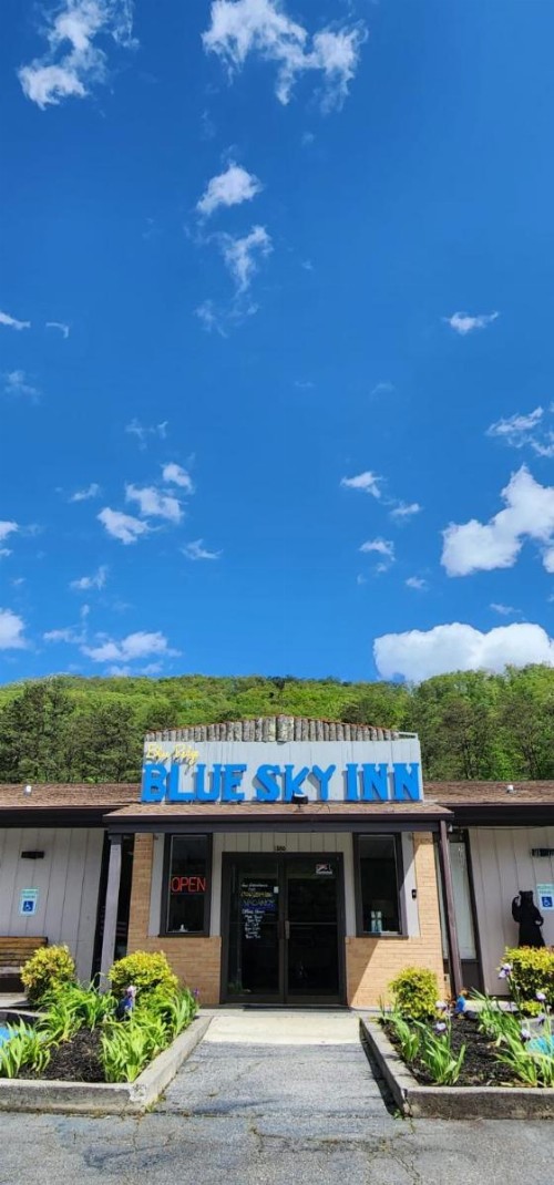 Blue Ridge Rustic Inn - image 43