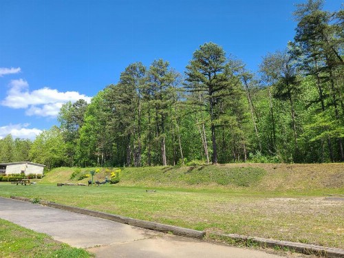 Blue Ridge Rustic Inn - image 44