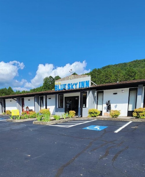 Blue Ridge Rustic Inn - image 8