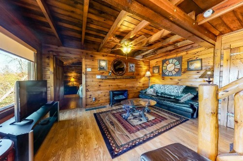 Rich Mountain Bungalow - image 7