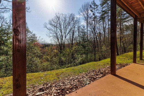 Jacob's Ridge Hideaway - image 7
