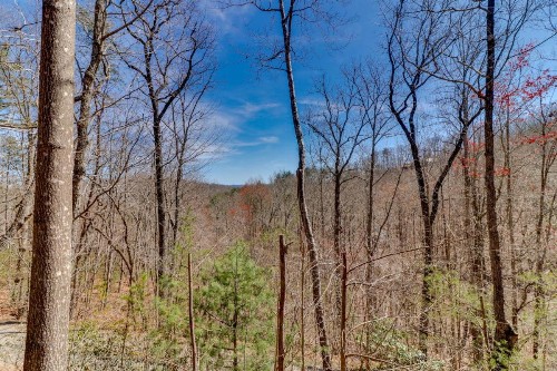 Moonshine Hollow Cabin - image 10