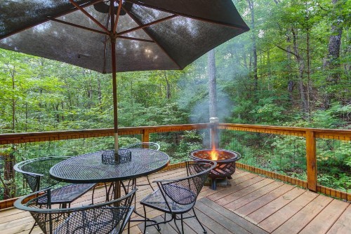 Lazy Bear Den - 2 Bed 1 Bath Vacation home in Blue Ridge - image 12