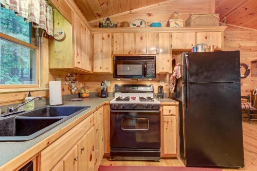 Lazy Bear Den - 2 Bed 1 Bath Vacation home in Blue Ridge - image 9