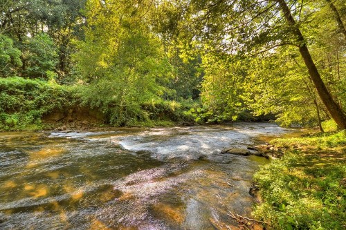 Creektopia - image 10