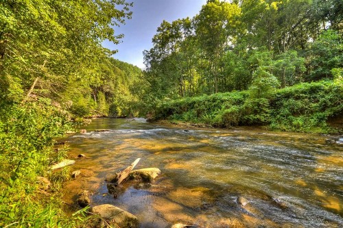 Creektopia - image 7