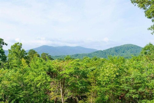 Bearfoot Bungalow by Escape to Blue Ridge - image 12