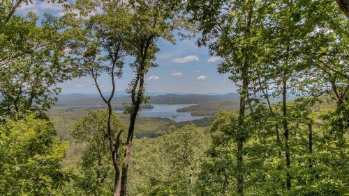 Lake View Retreat by Escape to Blue Ridge - image 11