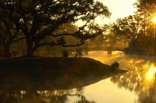 Montage Palmetto Bluff - image 36