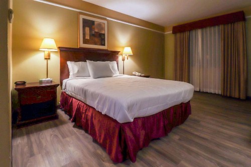 Econo Lodge - image 22