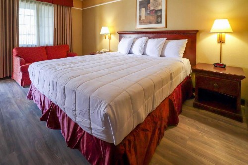 Econo Lodge - image 24