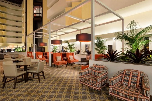 Embassy Suites Boca Raton - image 12