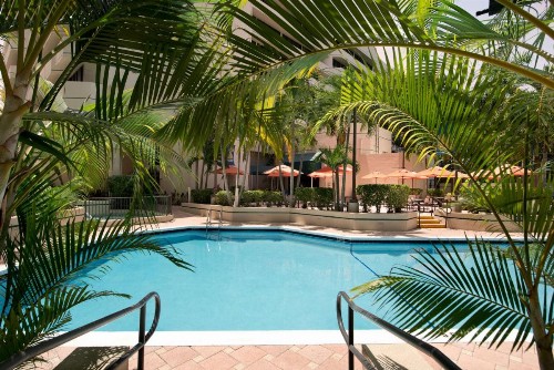 Embassy Suites Boca Raton - image 18