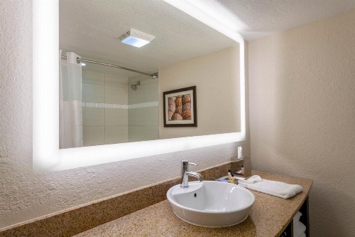 Wyndham Boca Raton Hotel - image 44