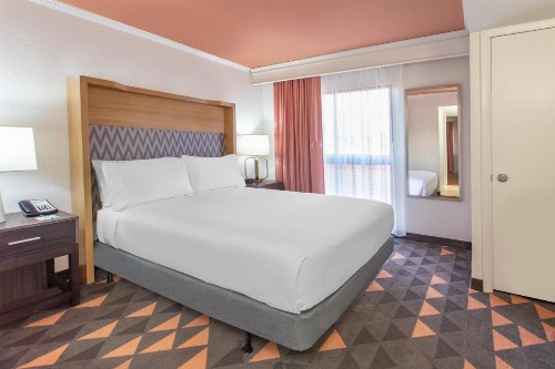 Holiday Inn - Boca Raton - North an IHG Hotel - image 35