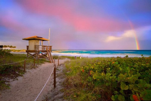 Holiday Inn - Boca Raton - North an IHG Hotel - image 6