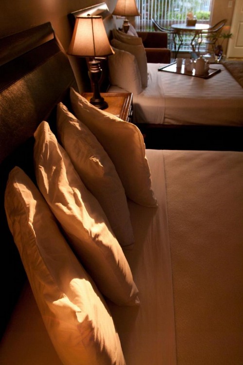 Ocean Lodge - image 15