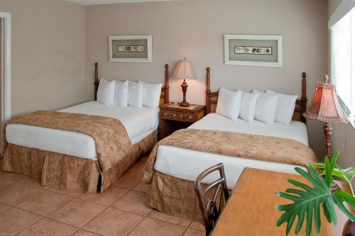 Ocean Lodge - image 17