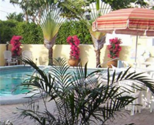 Ocean Lodge - image 8