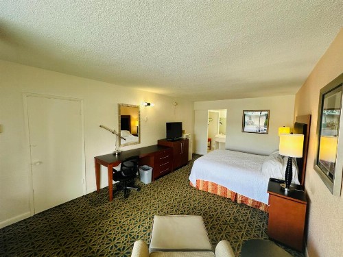 Boca Inn - image 15