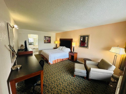 Boca Inn - image 28