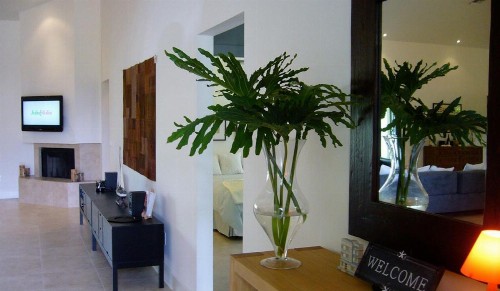 Dolphin Retreat Villa - East Boca Raton - image 2