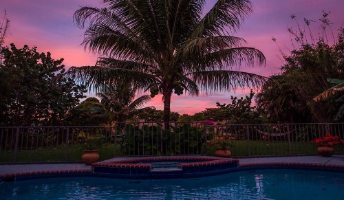 Dolphin Retreat Villa - East Boca Raton - image 30