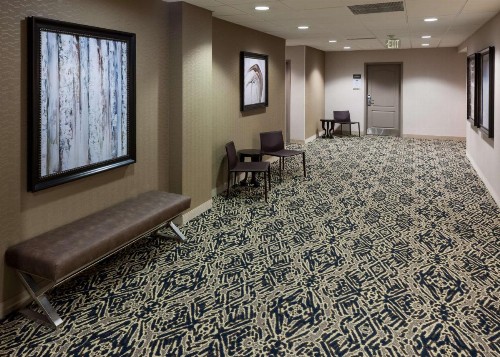 Hampton Inn & Suites Boise-Downtown - image 18