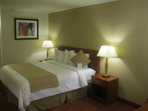 Airport Inn - image 15