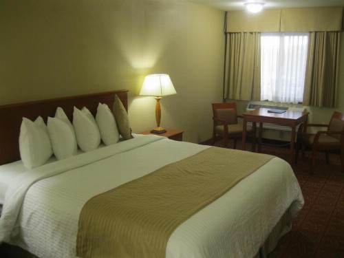 Airport Inn - image 29