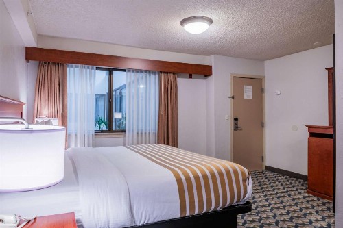 Best Western Vista Inn at the Airport - image 21