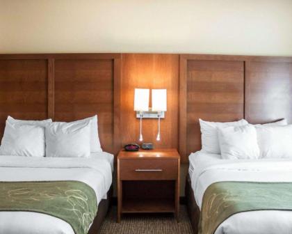 Comfort Suites Boise Airport - image 10