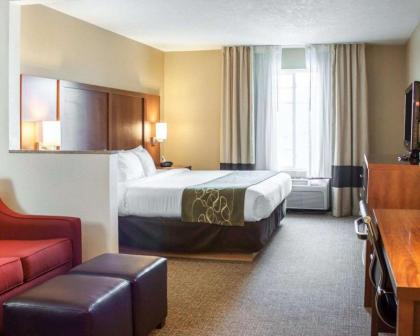 Comfort Suites Boise Airport - image 11