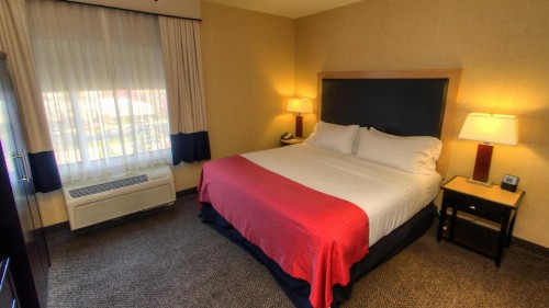 Holiday Inn Boise Airport an IHG Hotel - image 11