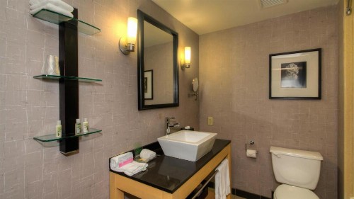 Holiday Inn Boise Airport an IHG Hotel - image 28