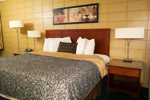 Cabana Inn - Boise - image 20