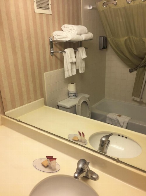 Americas Best Value Inn & Suites-Boise - image 10