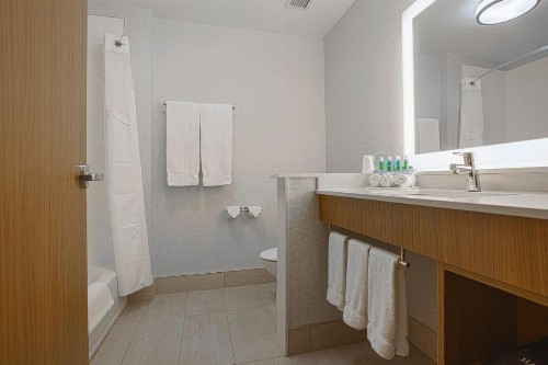 Holiday Inn Express & Suites Boise Airport an IHG Hotel - image 11