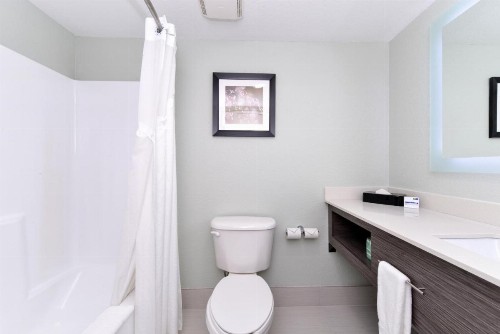 Holiday Inn Express Hotel & Suites Bonita Springs/Naples an IHG Hotel - image 6