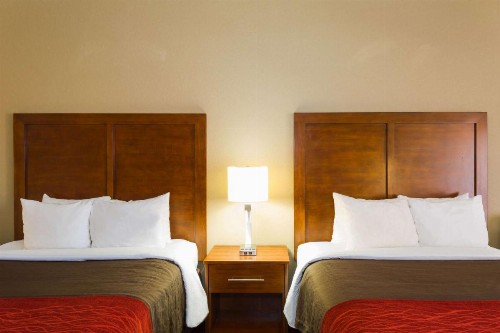 Baymont by Wyndham Bonita Springs - image 20