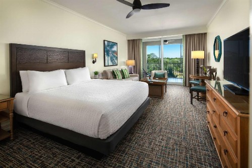 Hyatt Residence Club Bonita Springs Coconut Plantation - image 20