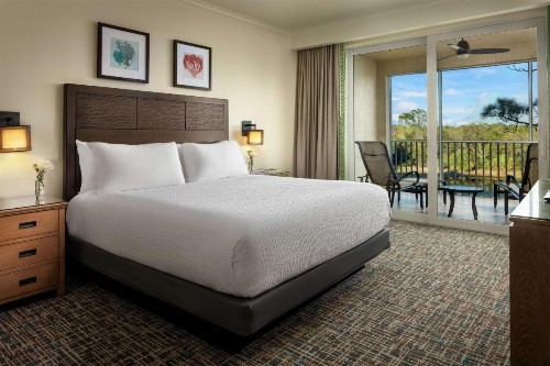 Hyatt Residence Club Bonita Springs Coconut Plantation - image 21