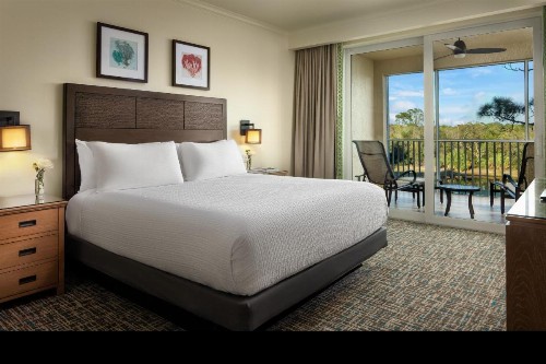 Hyatt Residence Club Bonita Springs Coconut Plantation - image 28