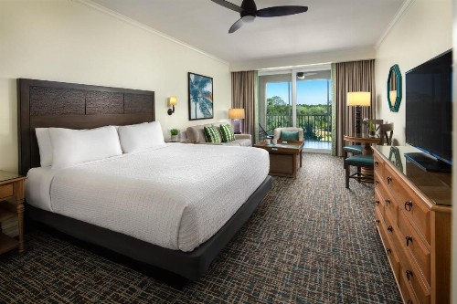 Hyatt Residence Club Bonita Springs Coconut Plantation - image 30