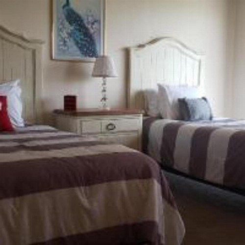David's Bonita Beach Condo - image 7