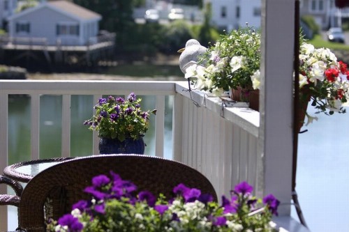 Harbour Towne Inn on the Waterfront - image 3