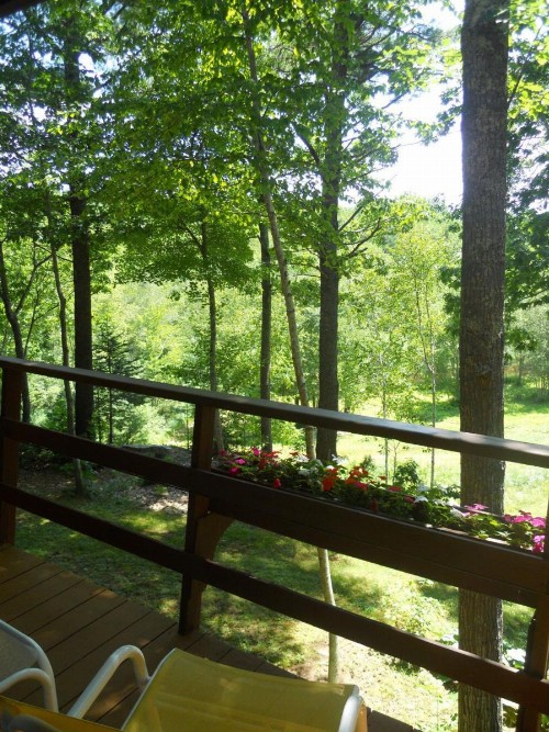Howard House Lodge - image 7