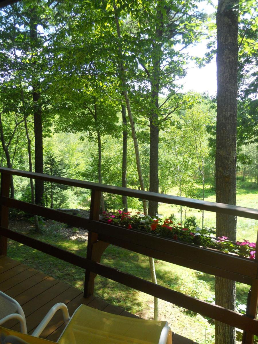 Howard House Lodge - image 7