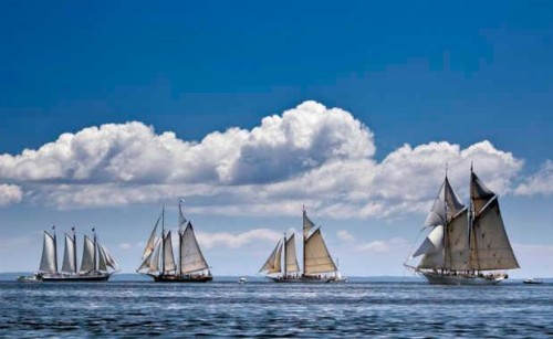 Harbor House Inn - image 25